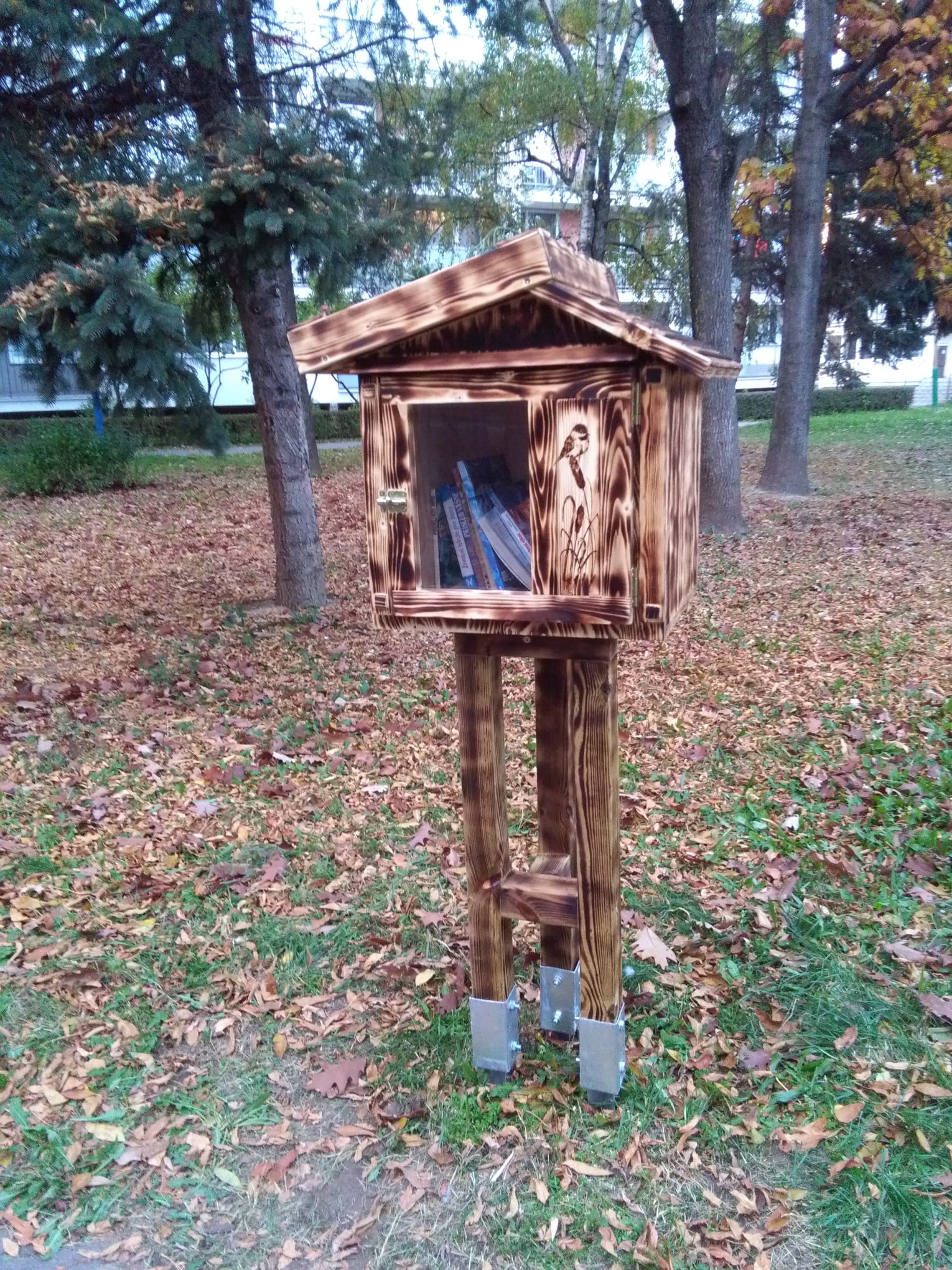 project_image